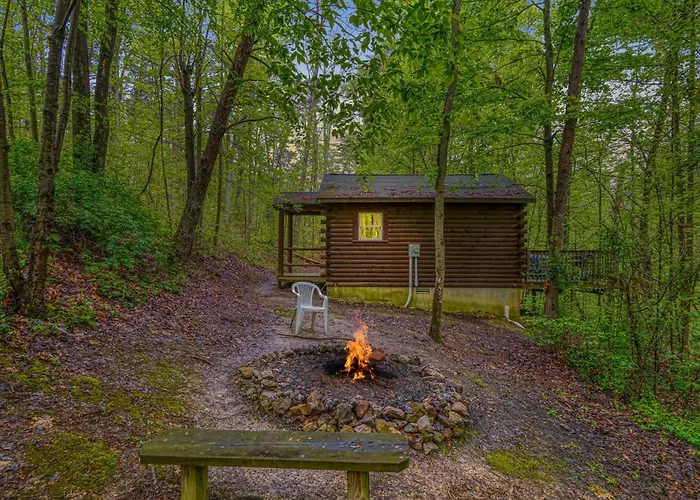 Blue Rose Cabins - Wildwoods Cabin