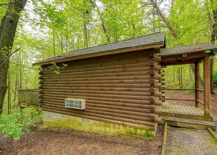 Blue Rose Cabins - Wildwoods Cabin